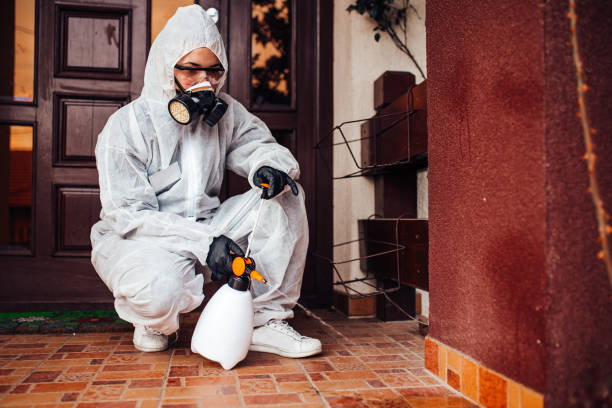 Attic and Crawl Space Rodent Treatment in Tarpey Village