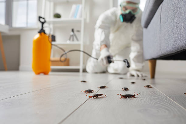 Commercial Rodent Management in Tarpey Village
